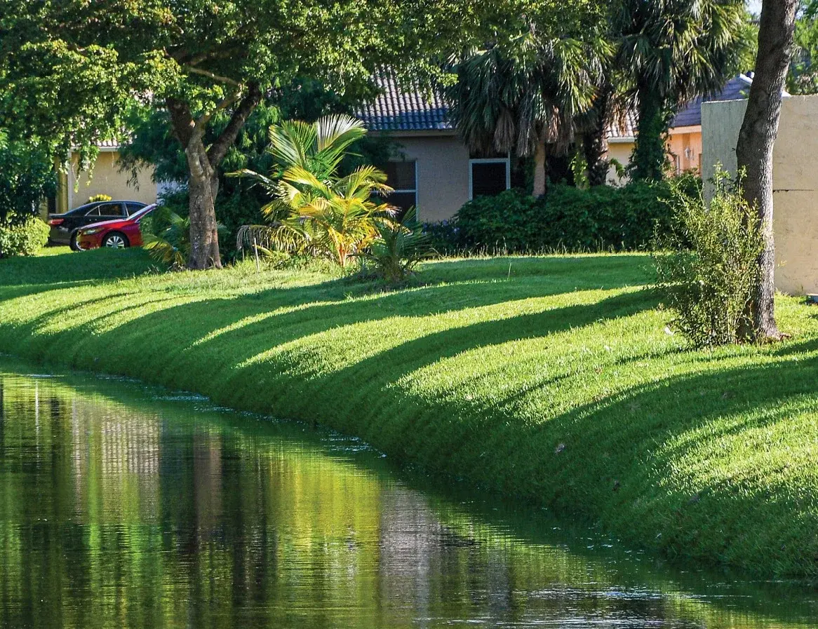 HOA Lake & Retention Pond Restoration