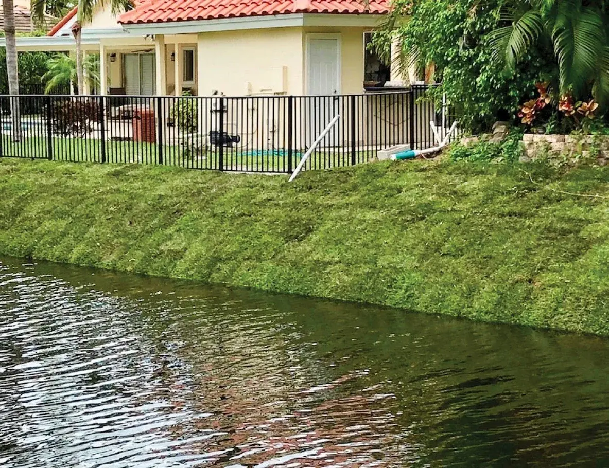 Commercial & Waterfront Home Shorelines